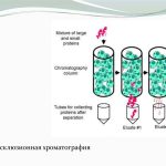 Газохроматограф «Хромат-М» на МКС контролирует воду в реальном времени