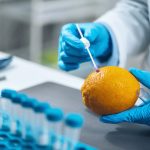 Лаборатории проверяют мандарины на остатки пестицидов